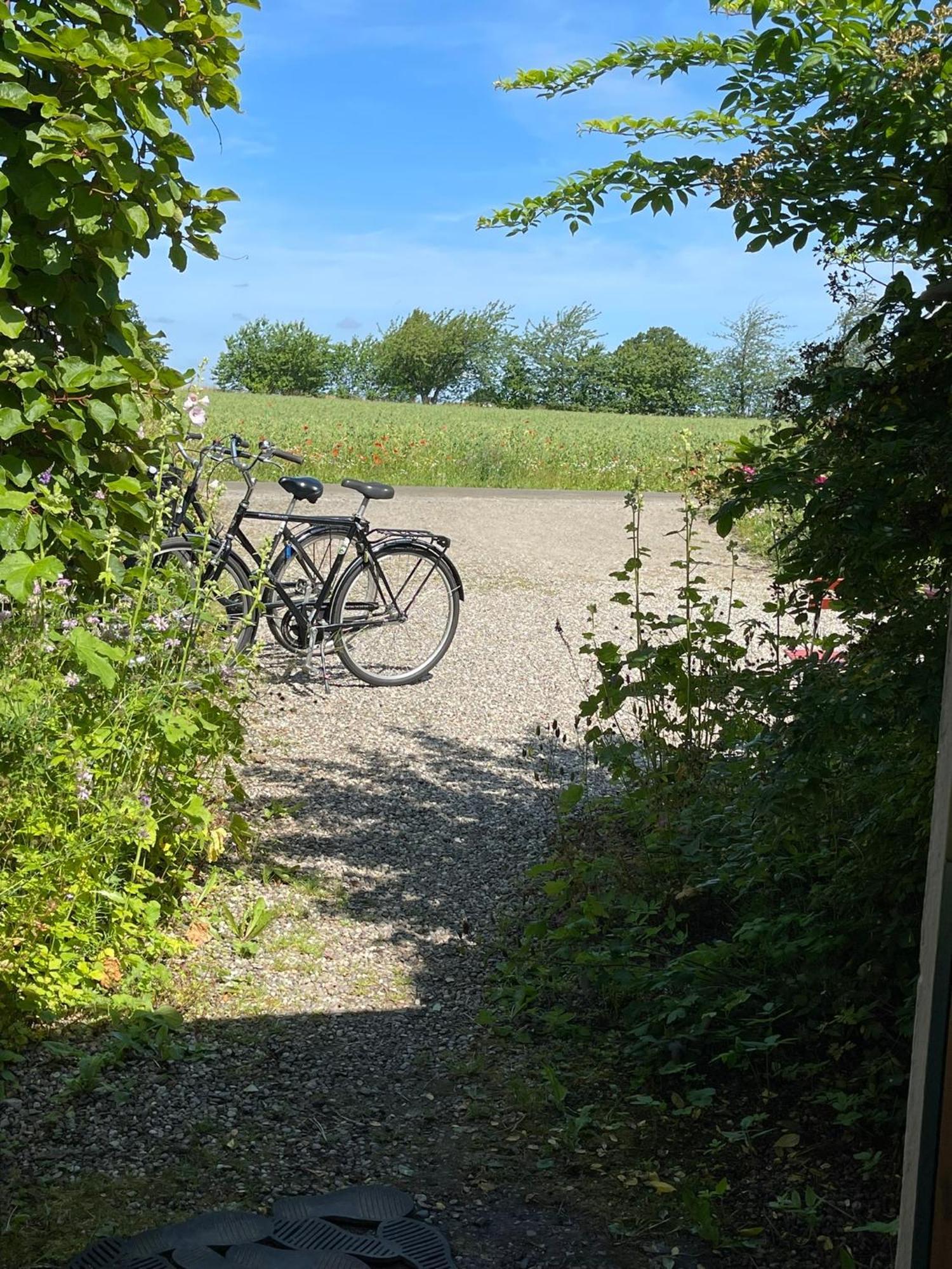 Adagio på Österlen Kivik Exteriör bild